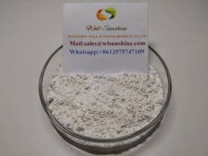 Ciprofloxacina 5 por cento em pó solúvel