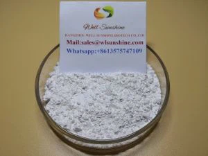 Enrofloxacina 10 por cento em pó solúvel