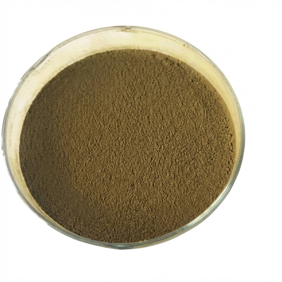 Aspergillus Oryzae: a potência da fermentação de bio-fertilizantes
